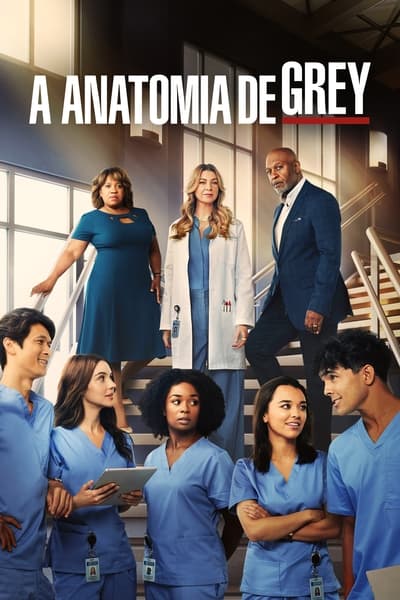 Grey’s Anatomy 19ª Temporada Completa (2022) Torrent