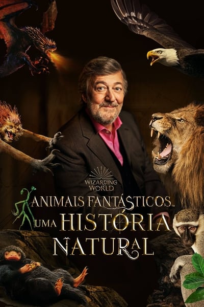 Animais Fantásticos: Uma História Natural Torrent